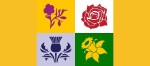 British symbolic flowers, podcasting by Pod Academy