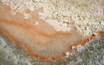 Academic podcasting on the oceans and climate change