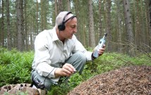 Chris Watson recording ants